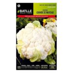 Coliflor Grande Navidad Sobre 3 Gr