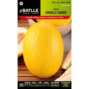 MELÓN AMARILLO CANARIO 2 - 8 GR