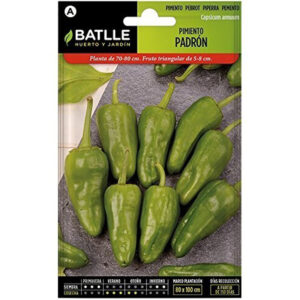 PIMIENTO PADRÓN SOBRE 2 GR