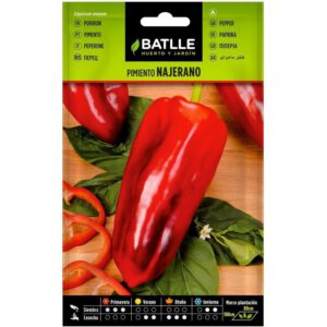 PIMIENTO NAJERANO SOBRE 0