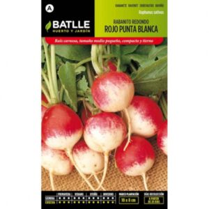 RABANITO REDONDO ROJO PUNTA BLANCA