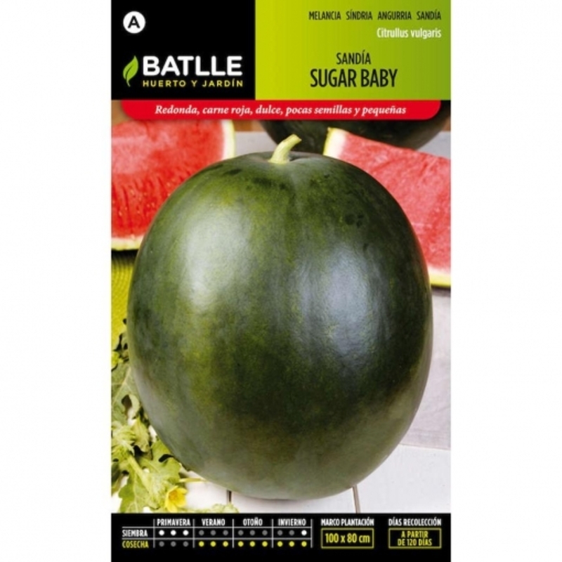 SANDIA SUGAR BABY 8 GR Sandia Sugar Baby 8 Gr