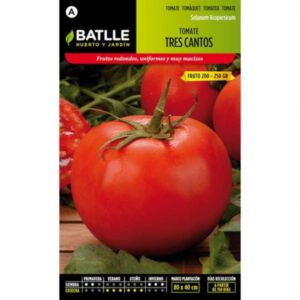 TOMATE TRES CANTOS GIGANTE ROSA SOBRE 1 GR