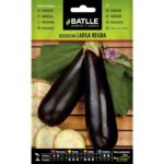 Berenjena Larga Negra Sobre 3 Gr