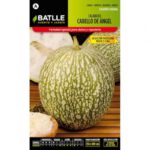 Calabaza Cabello De Ángel Sobre 4 Gr