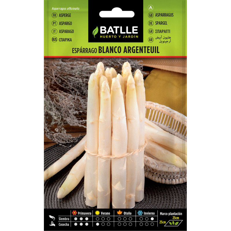 ESPARRAGO ARGENTEUIL 3,5 GR Esparrago Argenteuil 3