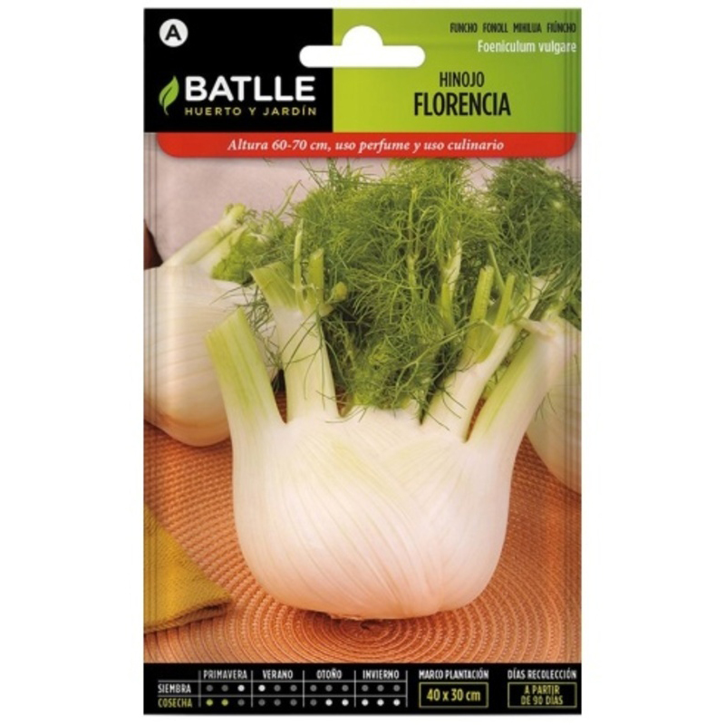 HINOJO FLORENCIA SEMILLAS 10 GR Hinojo Florencia Semillas 10 Gr