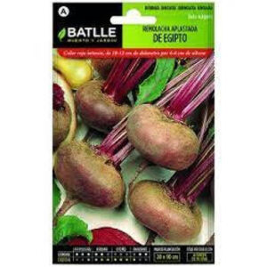 REMOLACHA APLASTADA DE EGIPTO SOBRE 10 GR