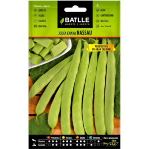 JUDIA ENANA NASSAU SOBRE 25 GR