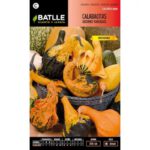 Calabacitas Adorno Variadas