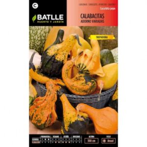 CALABACITAS ADORNO VARIADAS