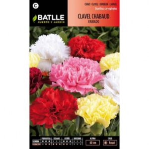 CLAVEL CHABAUD VARIADO SOBRE 0