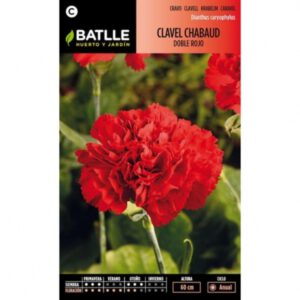 CLAVEL CHABAUD ROJO SOBRE 0