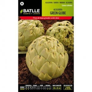 ALCACHOFA GREEN GLOBE SOBRE 1