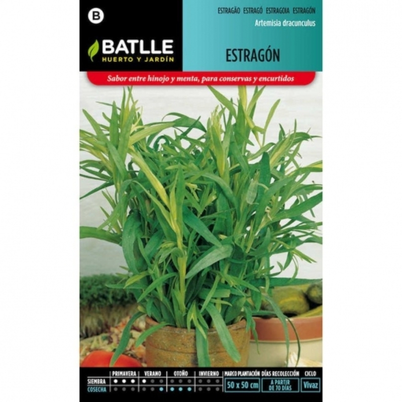 ESTRAGÓN SEMILLA Estragón Semilla
