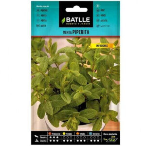 MENTA PIPERITA INFUSIONES 0