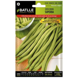 JUDIA ENANA SUPERBA SUPERVIOLET SOBRE 25 GR