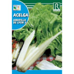 Acelga Amarilla De Lyon 2 - 10 Gr