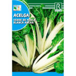 Acelga Verde Penca Blanca Ancha 10 Gr