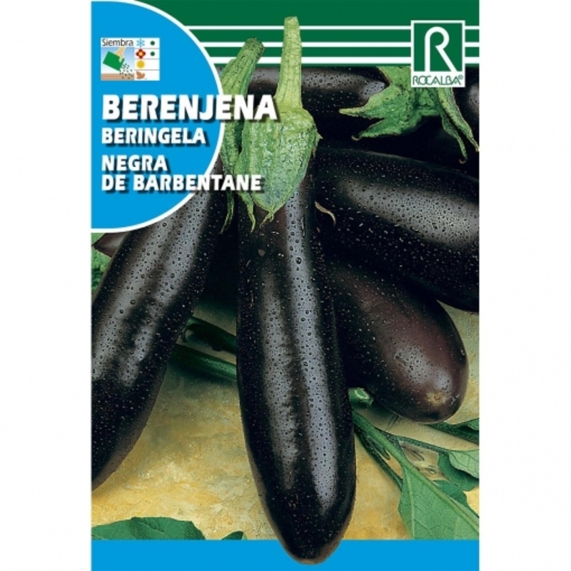 BERENJENA NEGRA LARGA DE BARBENTANE 3 GR Berenjena Negra Larga De Barbentane 3 Gr
