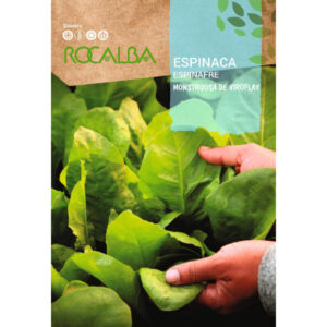 ESPINACA MONSTRUOSA DE VIROFLAY SOBRE 10 GR