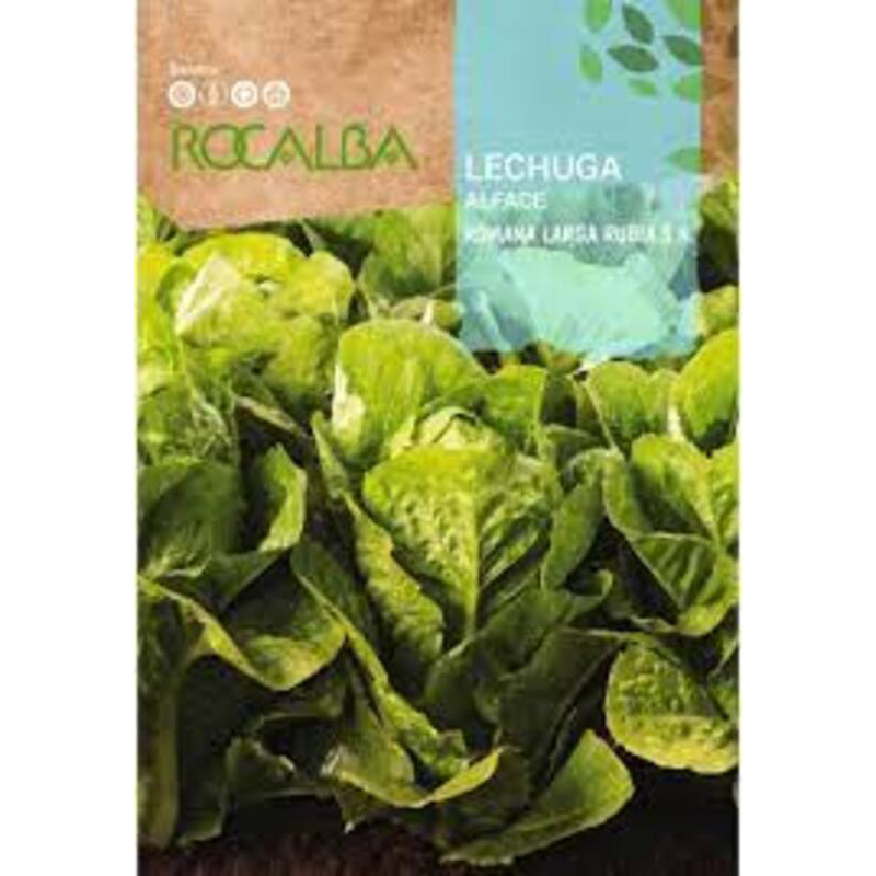 LECHUGA ROMANA LARGA RUBIA SOBRE 6 GR Lechuga Romana Larga Rubia Sobre 6 Gr