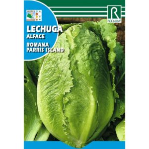 LECHUGA ROMANA PARRIS ISLAND 6 GR SOBRE