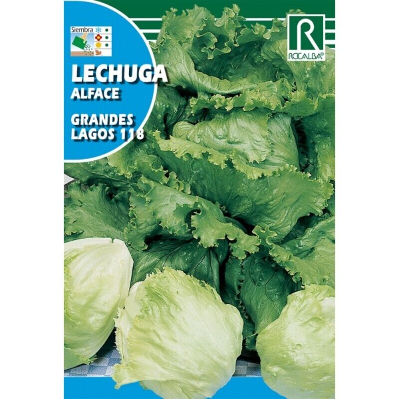 LECHUGA GRANDES LAGOS 118 - 6 GR Lechuga Grandes Lagos 118 - 6 Gr