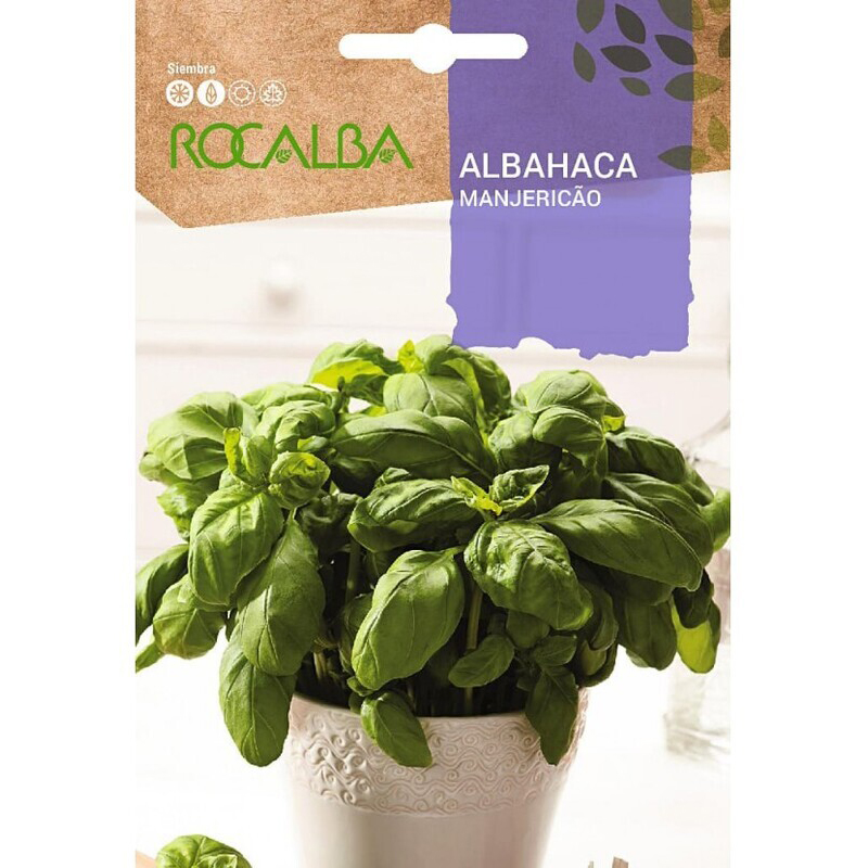 ALBAHACA BASILIC GRAND VERT SOBRE 4 GR Albahaca Basilic Grand Vert Sobre 4 Gr