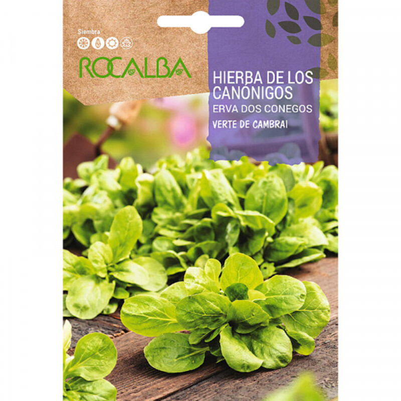 HIERBA DE LOS CANÓNIGOS SOBRE 6 GR Hierba De Los Canónigos Sobre 6 Gr