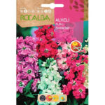 Alhelí Cuarenteno Anual Doble Sobre 2 Gr