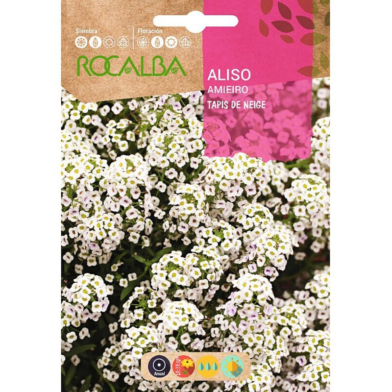 ALISO TAPIS DE NEIGE SOBRE 4 GR Aliso Tapis De Neige Sobre 4 Gr