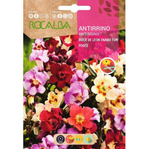 ANTIRRINO BOCA DE LEÓN ENANO SOBRE 2 GR