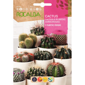 CACTUS Y PLANTAS CRASAS VARIADO SOBRE 0