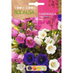 Campánula Doble Variada Sobre 1 Gr