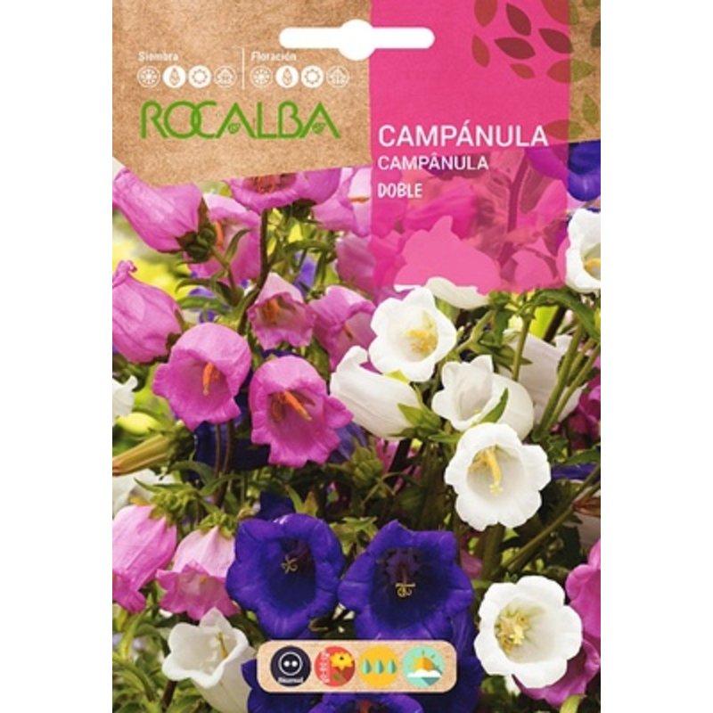 CAMPÁNULA DOBLE VARIADA SOBRE 1 GR Campánula Doble Variada Sobre 1 Gr