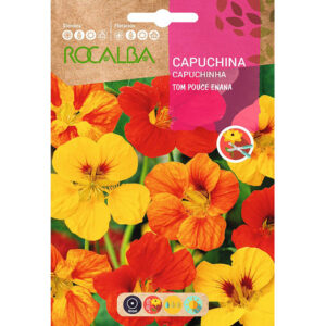 CAPUCHINA TOM POUCE ENANA SOBRE 10 GR