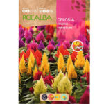 Celosía Plumosa Pampas Variado Sobre 2 Gr