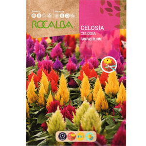 CELOSÍA PLUMOSA PAMPAS VARIADO SOBRE 2 GR
