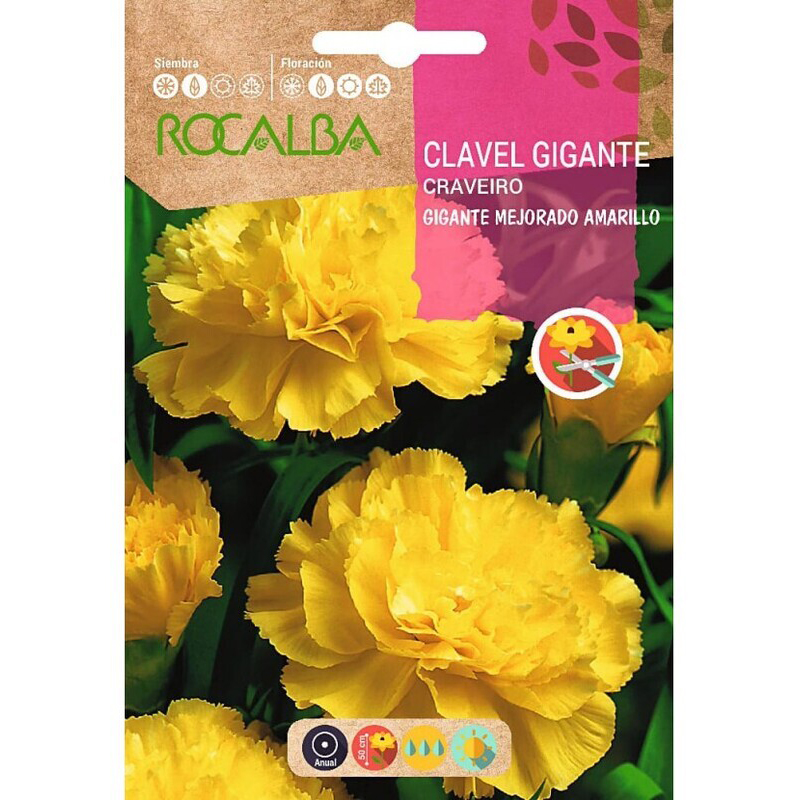 CLAVEL GIGANTE MEJORADO AMARILLO SOBRE 1 GR Clavel Gigante Mejorado Amarillo Sobre 1 Gr