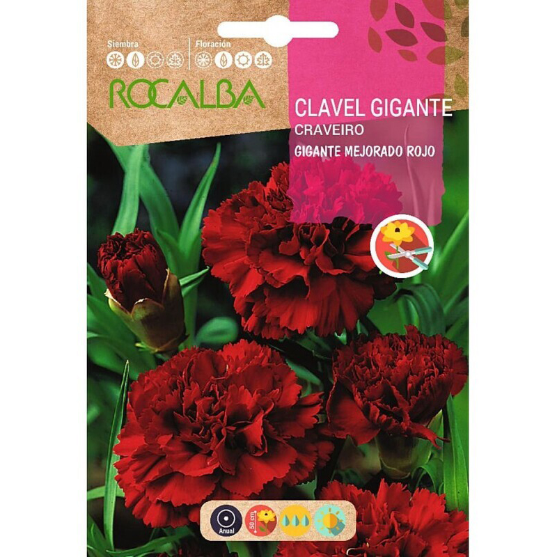 CLAVEL GIGANTE MEJORADO ROJO SOBRE 1 GR Clavel Gigante Mejorado Rojo Sobre 1 Gr