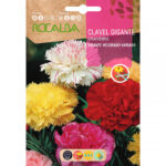 Clavel Gigante Mejorado Variado Sobre 1 Gr