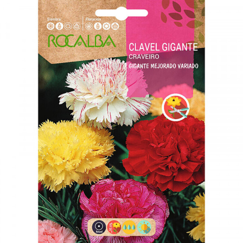 CLAVEL GIGANTE MEJORADO VARIADO SOBRE 1 GR Clavel Gigante Mejorado Variado Sobre 1 Gr