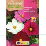 Cosmos Sensation Mammouth Gigante Sobre 10 Gr
