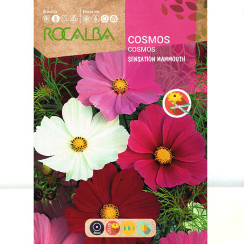 COSMOS SENSATION MAMMOUTH GIGANTE SOBRE 10 GR Cosmos Sensation Mammouth Gigante Sobre 10 Gr