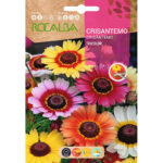 Crisantemo Tricolor Variado Sobre 5 Gr