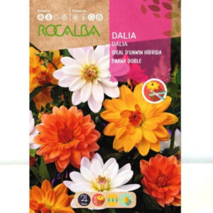 DÁLIA IDEAL D'UNWIN HÍBRIDA ENANA DOBLE SOBRE 2 GR
