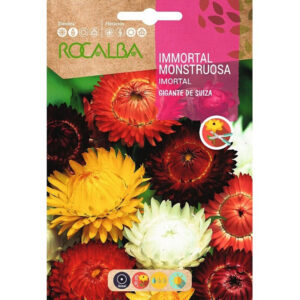 INMORTAL MONSTRUOSA GIGANTE SUIZA SOBRE 3 GR