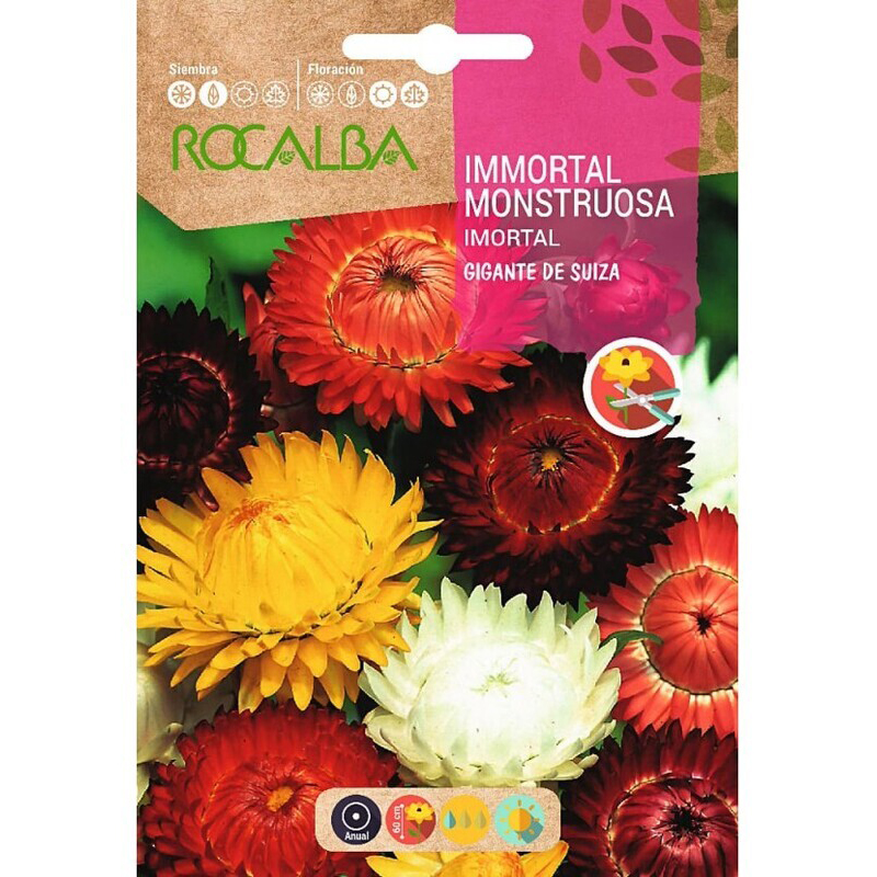 INMORTAL MONSTRUOSA GIGANTE SUIZA SOBRE 3 GR Inmortal Monstruosa Gigante Suiza Sobre 3 Gr