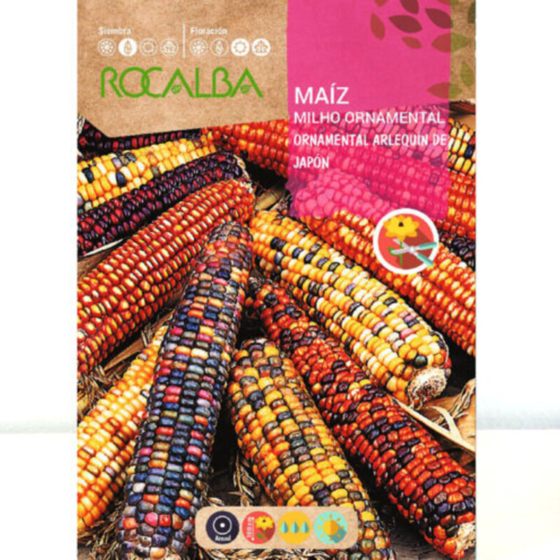 MAIZ ORNAMENTAL ARLEQUIN JAPON SOBRE 10 GR Maiz Ornamental Arlequin Japon Sobre 10 Gr